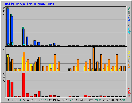 Daily usage for August 2024