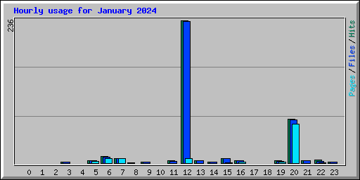 Hourly usage for January 2024