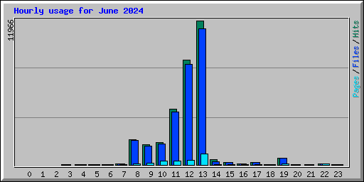 Hourly usage for June 2024