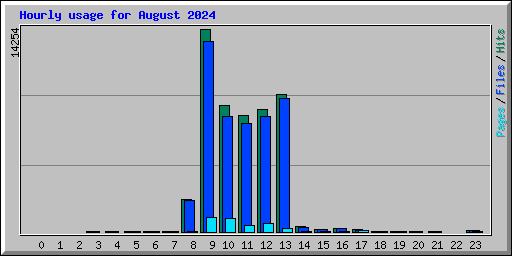 Hourly usage for August 2024