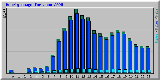 Hourly usage for June 2025