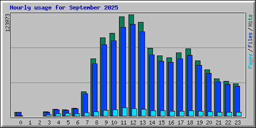 Hourly usage for September 2025