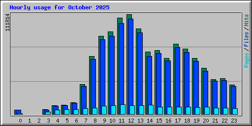 Hourly usage for October 2025