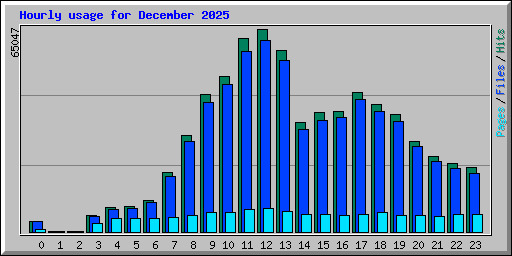 Hourly usage for December 2025