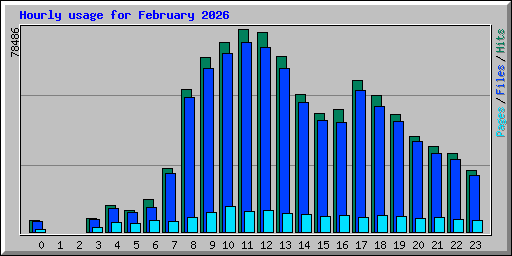Hourly usage for February 2026