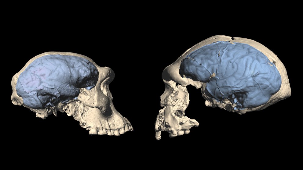 Diapositiva Carrusel